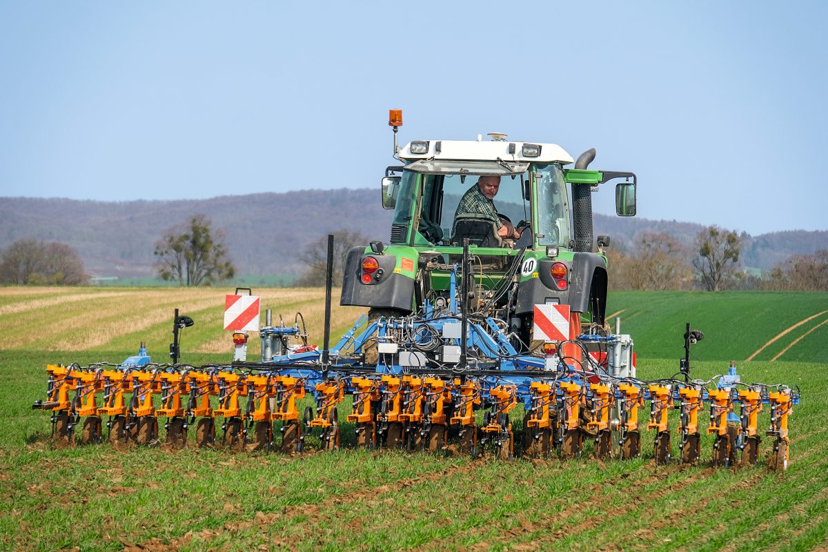 Mechanische Unkrautbekämpfung