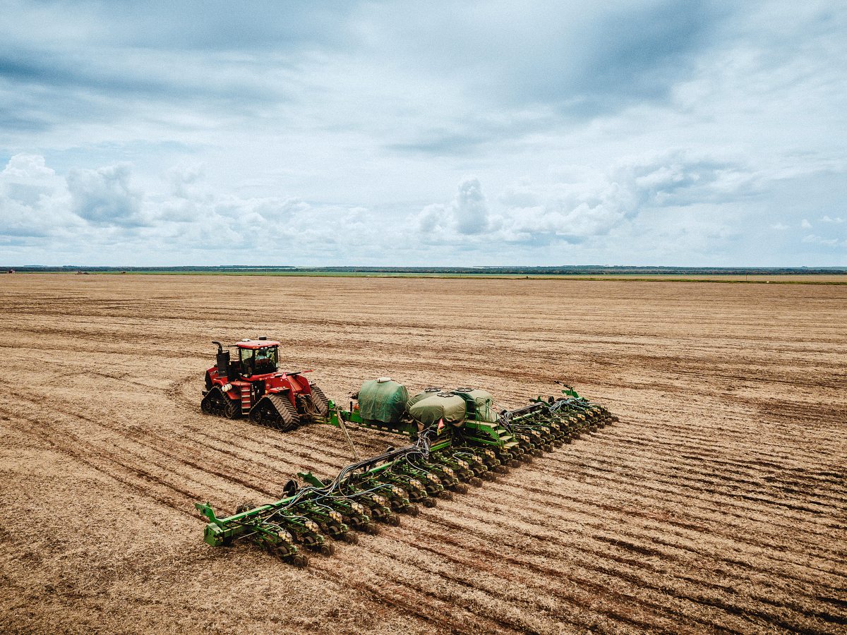 Case IH legt Sojabohnen 