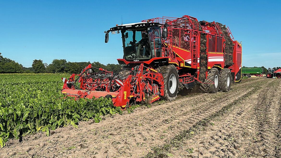 Rübenroder von Grimme im Einsatz 