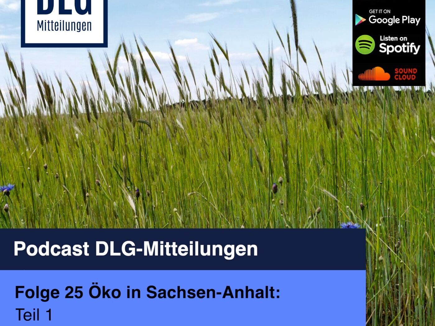 Öko in Sachsen-Anhalt: Knappes Wasser spricht für die Umstellung