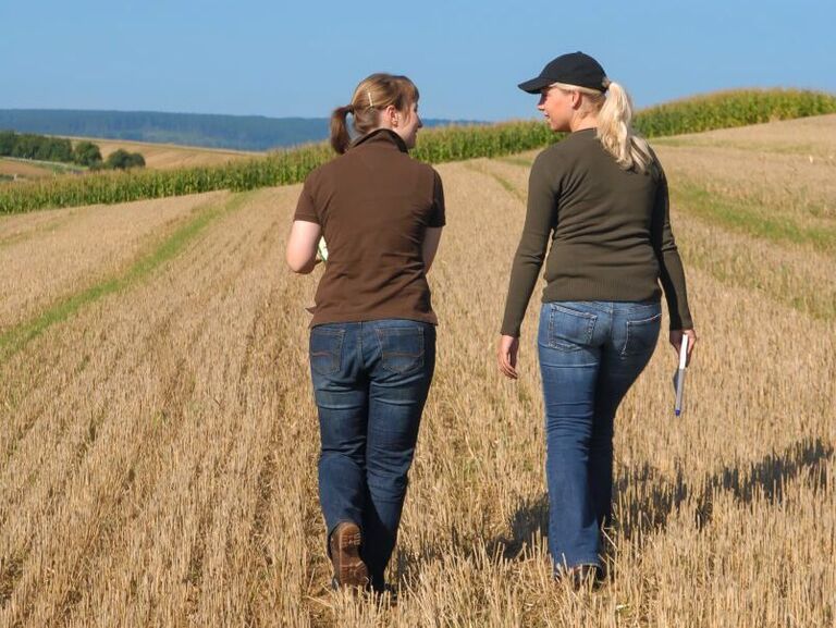 Frauen auf dem Feld 