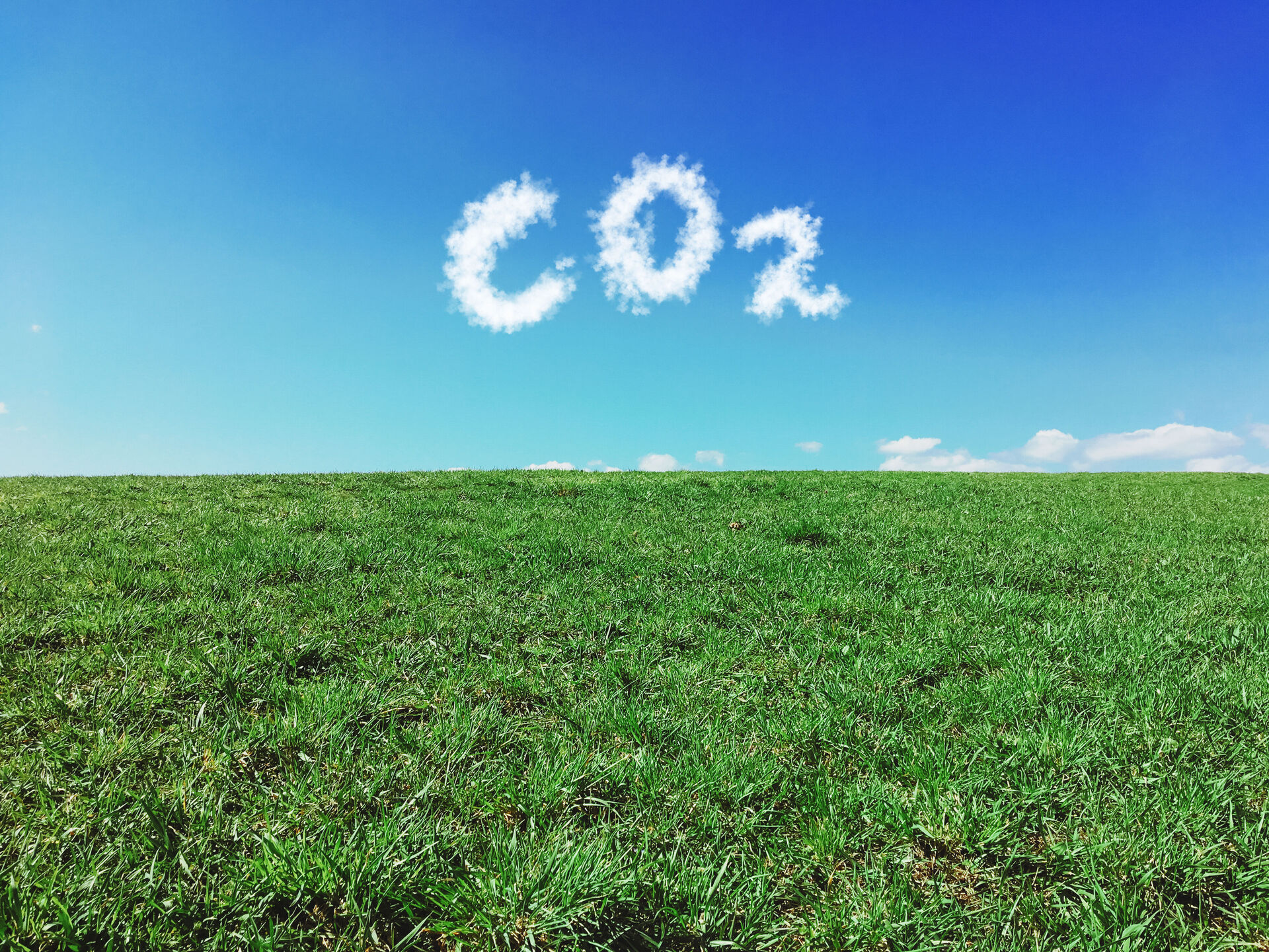 Carbon Farming. Ein erstes Leitbild