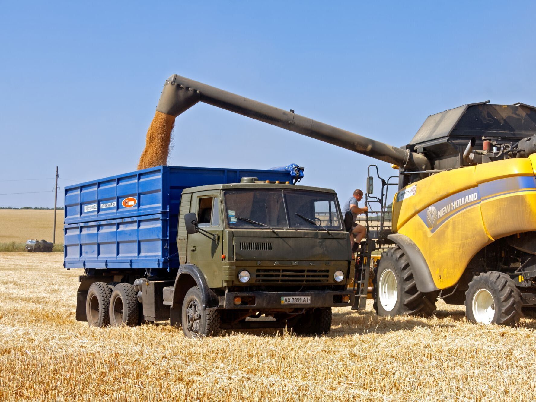 Ukraine: Erntet weniger Weizen