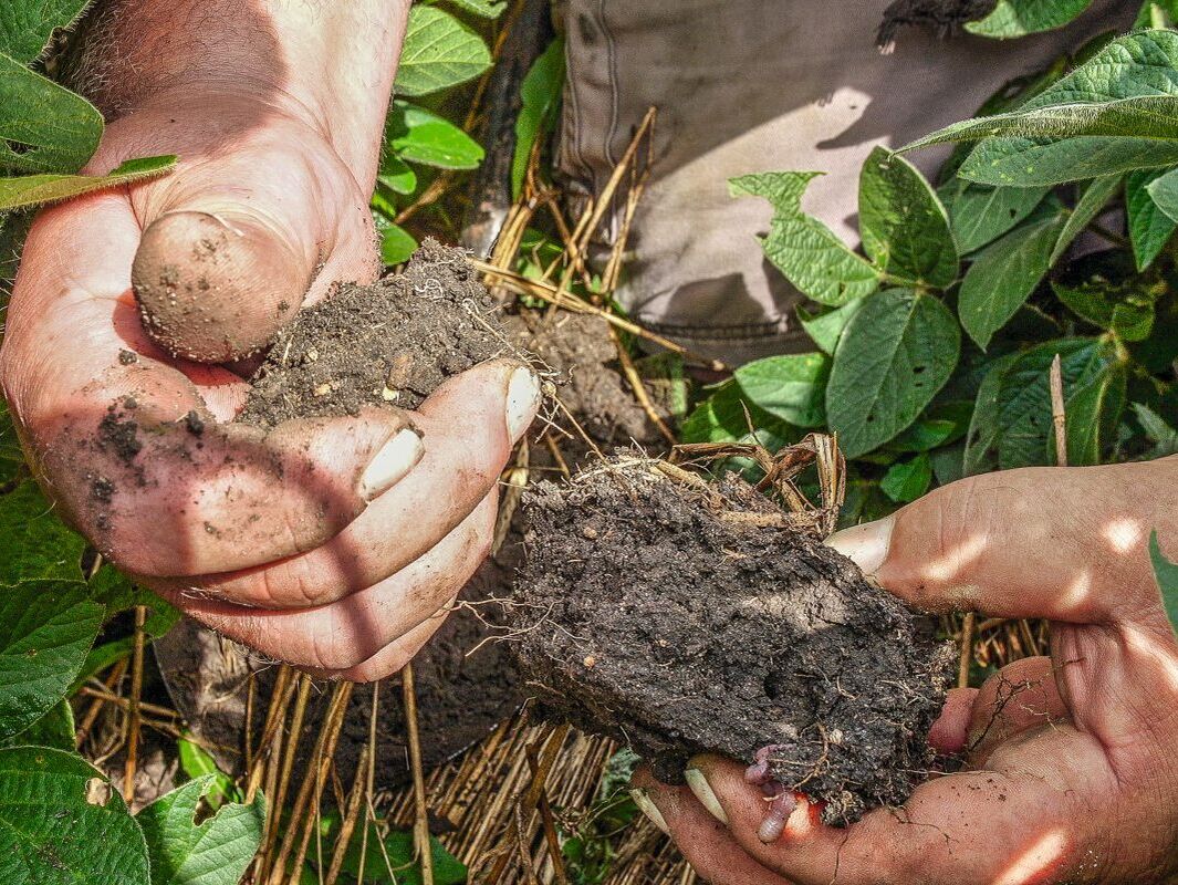 Carbon Farming. Das Geschäft mit dem Kohlenstoff