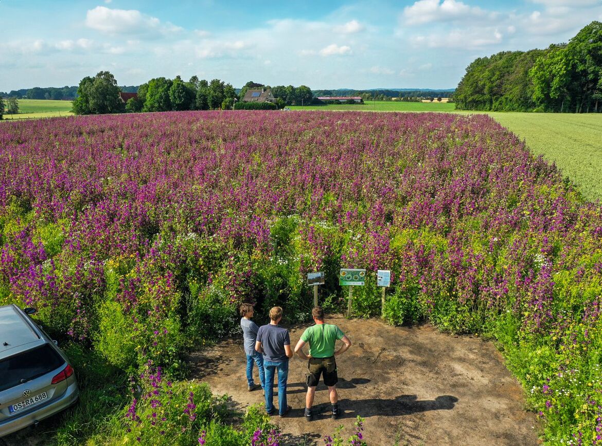 Biodiversität