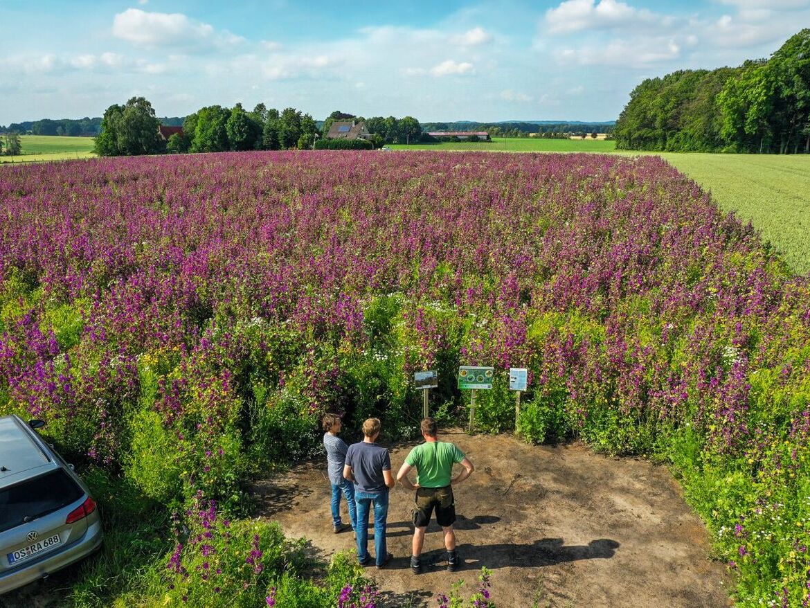 Biodiversität. Die Vorteile kooperativer Modelle